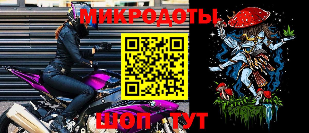 Псилоцибиновые грибы Psilocybe Реутов