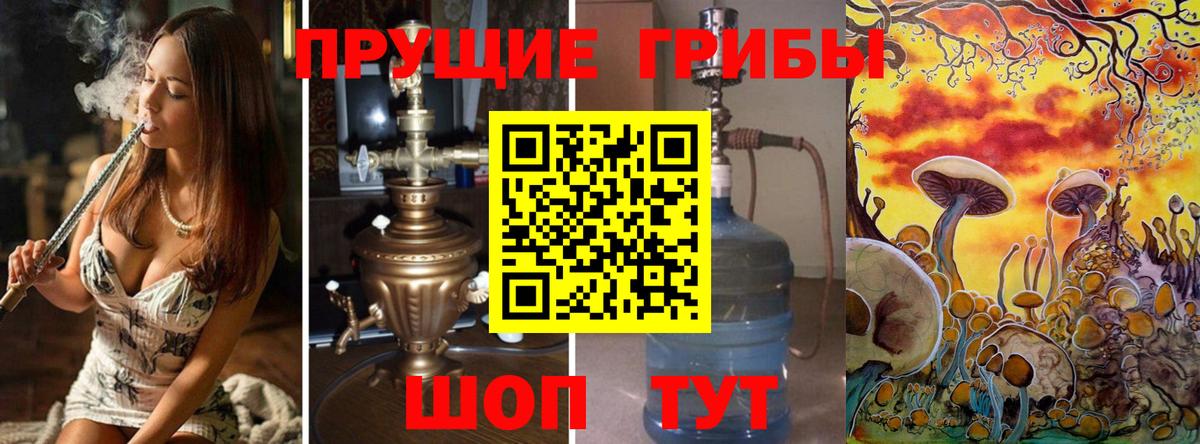 цена   Вход с VPN  Реутов  Галлюциногенные грибы GOLDEN TEACHER 